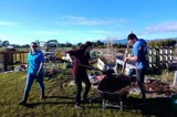 hangi photo
