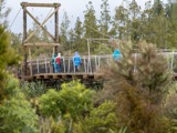 People on bridge in rainforest