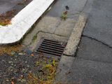 Stormwater gully trap