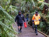People on board walk in rainforest