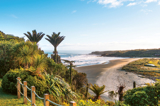 punakaiki beach
